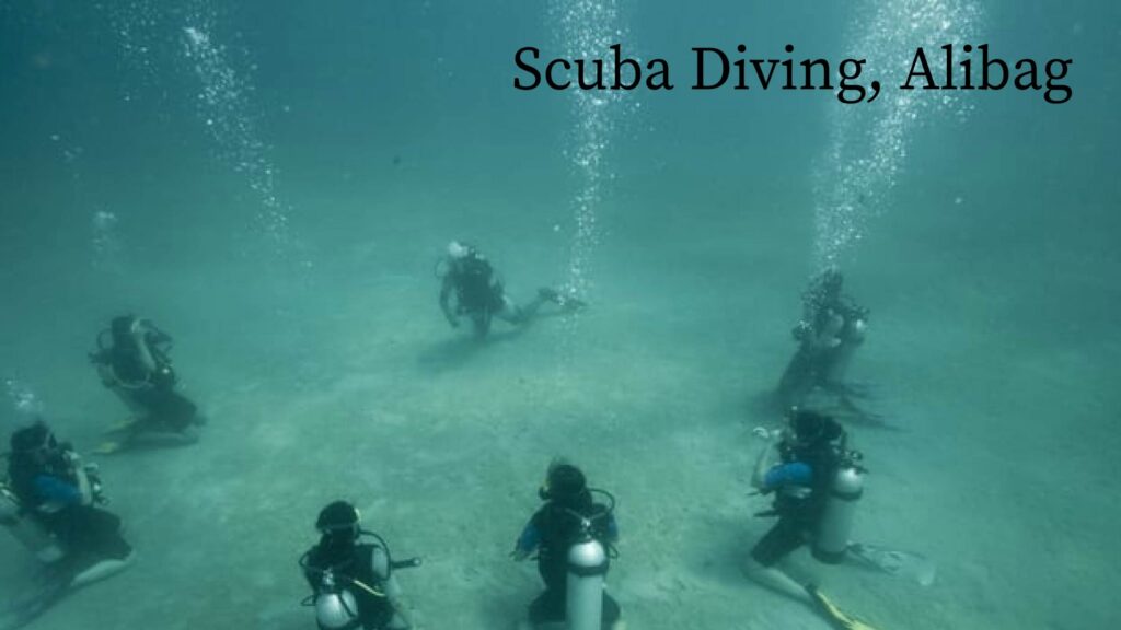 Scuba Diving in Alibaug